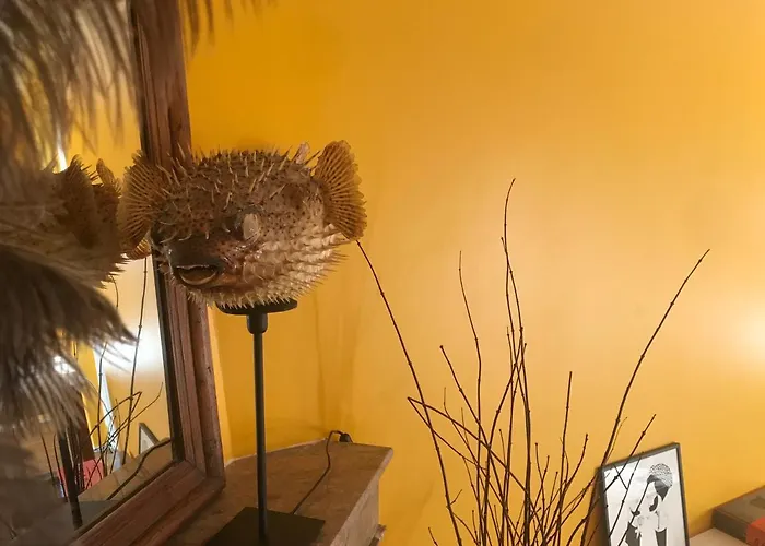 Bed & Breakfast Maison Mercredi